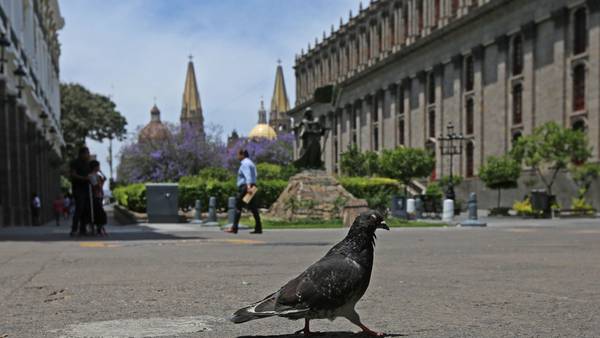 Designan a Guadalajara Capital Mundial del Libro 2022