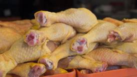 60 mil pollos en riesgo para México y EU: Reportan casos de influenza aviar en granja de NL