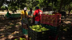 Agricultura y servicios ‘detonan’ repunte en precios al productor durante julio
