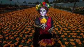 EU alerta por plantas prohibidas procedentes de México en celebración por Día de Muertos
