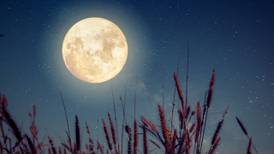 ‘De las lunas, la de octubre es la más hermosa’... ¿Pedro Infante tenía razón?