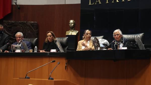Legisladores condenan ‘revictimización’ en feminicidio de Luz Raquel