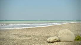 Playas de Veracruz se tiñen de turquesa y lucen limpias durante cuarentena