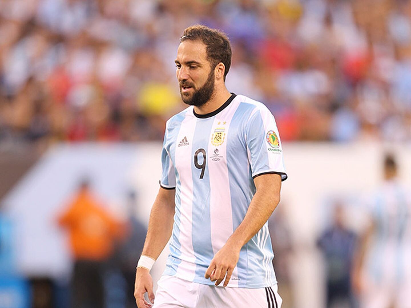 Sottile: 'Higuaín no debe jugar más en la Selección'