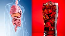 ¿Qué órganos se dañan con el refresco?