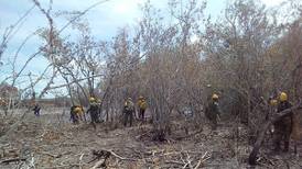 Incendio en Sian Ka'an ha afectado 2 mil 900 hectáreas
