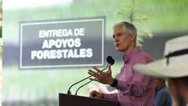 Gobierno local impulsa acciones para el crecimiento y preservación de bosques, afirma Alfredo del Mazo