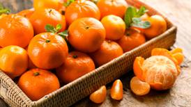 El otoño traerá mandarinas: ¿Cuándo inicia la temporada y cuánto cuesta el kilo?