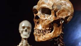 Quizá no somos tan diferentes a los neandertales como pensamos: solo 7% del genoma humano moderno es único