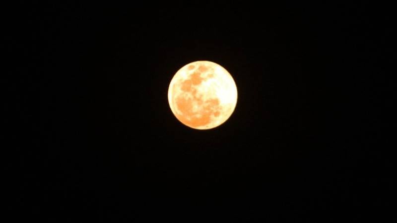 Este lunes 25 de marzo se podrá observar en México el fenómeno Luna llena de gusano.