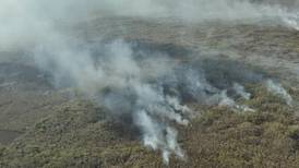 Fuego consume la ‘selva maya’: Incendio que inició en Quintana Roo ya llegó a Campeche 
