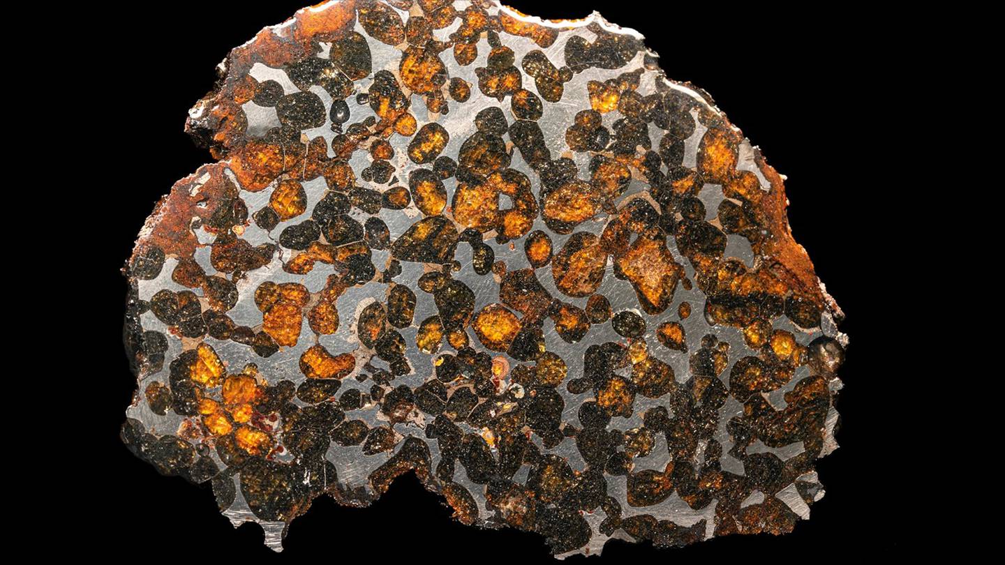 Elaliita' y 'Elkinstantonita', dos nuevos minerales descubiertos en Somalia  – El Financiero