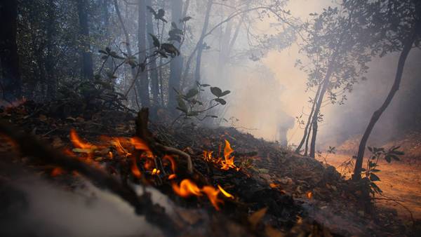 Segunda ola de calor apaga la luz y ‘prende’ bosques: México combate 159 incendios forestales 