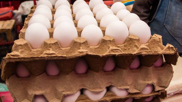 Precio del kilo de huevo ‘se dispara’: ¿En qué estados es más caro?