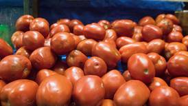 El tomate, de venenoso y afrodisiaco hasta su integración en las cocinas
