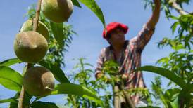 Optimizarán comercio de agropecuarios y control sanitario: Aristóteles Vaca Pérez
