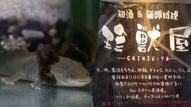 Ajolote ‘hasta en la sopa’: El restaurante japonés con orca, tiburón y oso pardo en su exótico menú