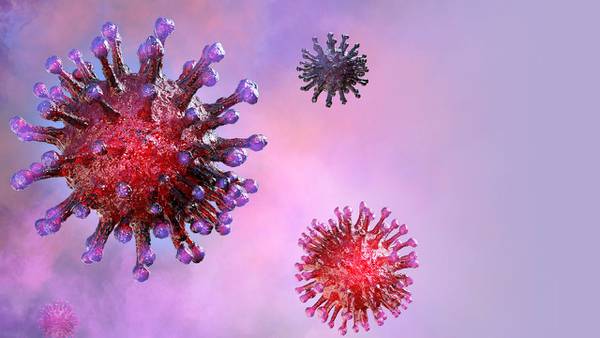 ¿Existe la inmunidad innata contra COVID? Este estudio dice que sí