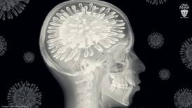  ¿Qué sabemos actualmente sobre los efectos del SARS-CoV-2 en el cerebro?