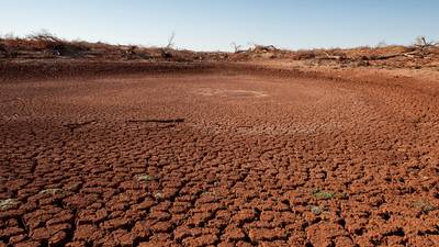 ¿Qué tan mal está la sequía en Texas? Pagan a agricultores para no usar agua