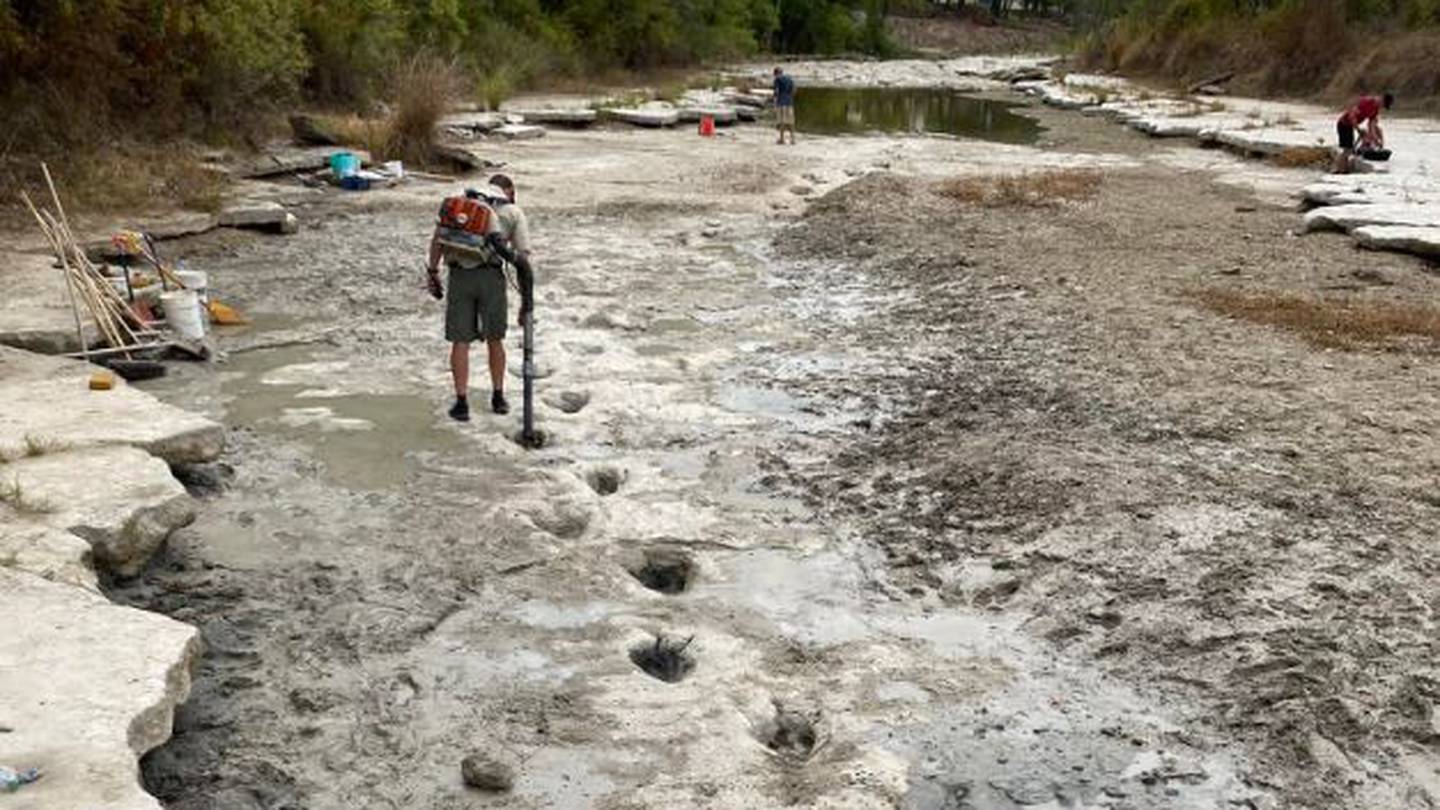 Sequía revela 'dinohuellas': Falta de lluvias deja al descubierto huellas  de dinosaurios en Texas – El Financiero