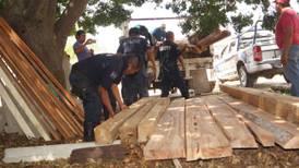 Decomisan maderas preciosas por tala ilegal en Quintana Roo