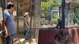 ¿Y los animales del Ecoparc de Colima? Profepa retira a ejemplares por irregularidades