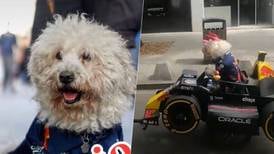 Jorge y Fabbio, perrito ‘Checo’ Pérez, quieren conocer al piloto previo al GP de México