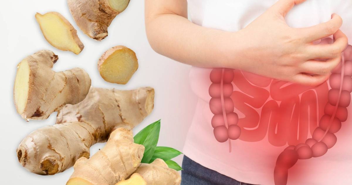 What is the effect of ginger on the stomach?  – Finance