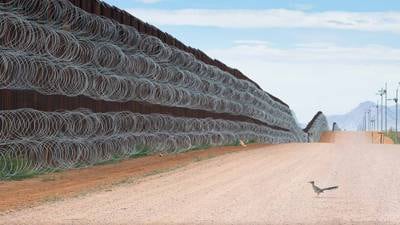 Con un correcaminos en el muro fronterizo, mexicano gana concurso internacional de fotografía 