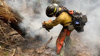 Ola de calor en EU: Mueren 2 bomberos en Arizona combatiendo incendios forestales