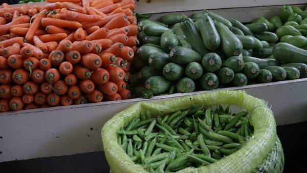 FMI advierte a Gobiernos por precios de alimentos: apoyan con medidas o esperen descontentos