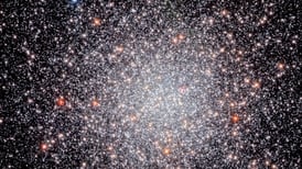 Enjambre de estrellas: Así es como luce un cúmulo de astros captado por el telescopio Hubble