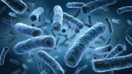 ¿De qué se compone la microbiota? ‘Restos’ de tu ex pueden estar ahí, revela estudio