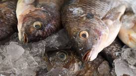 ¡Aguas! Profeco alerta por ‘trampa china’ en venta de pescado