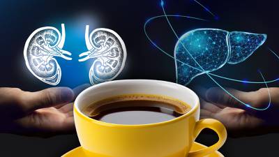 ¿Cuál es el efecto del café en el hígado y los riñones? 