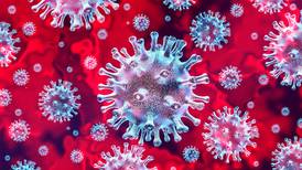 Científicos descubren más de 30 nuevos coronavirus