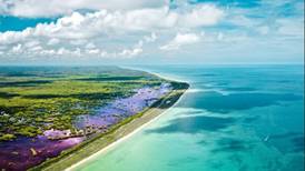 Sisal, la tranquila playa de olas cristalinas que amarás en Yucatán