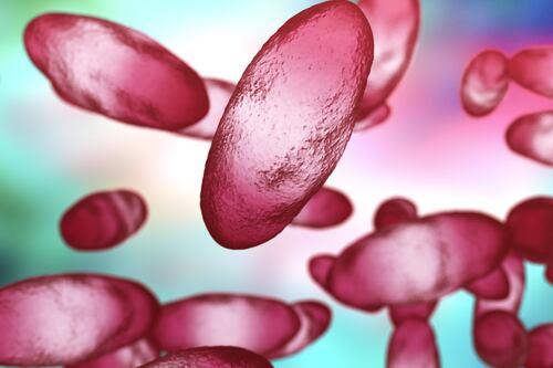 Mongolia impone cuarentena indefinida a una provincia por nuevo caso de peste bubónica