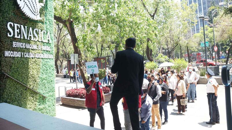 Gobierno de AMLO recorta 42% el presupuesto para vigilar la sanidad e inocuidad agroalimentaria