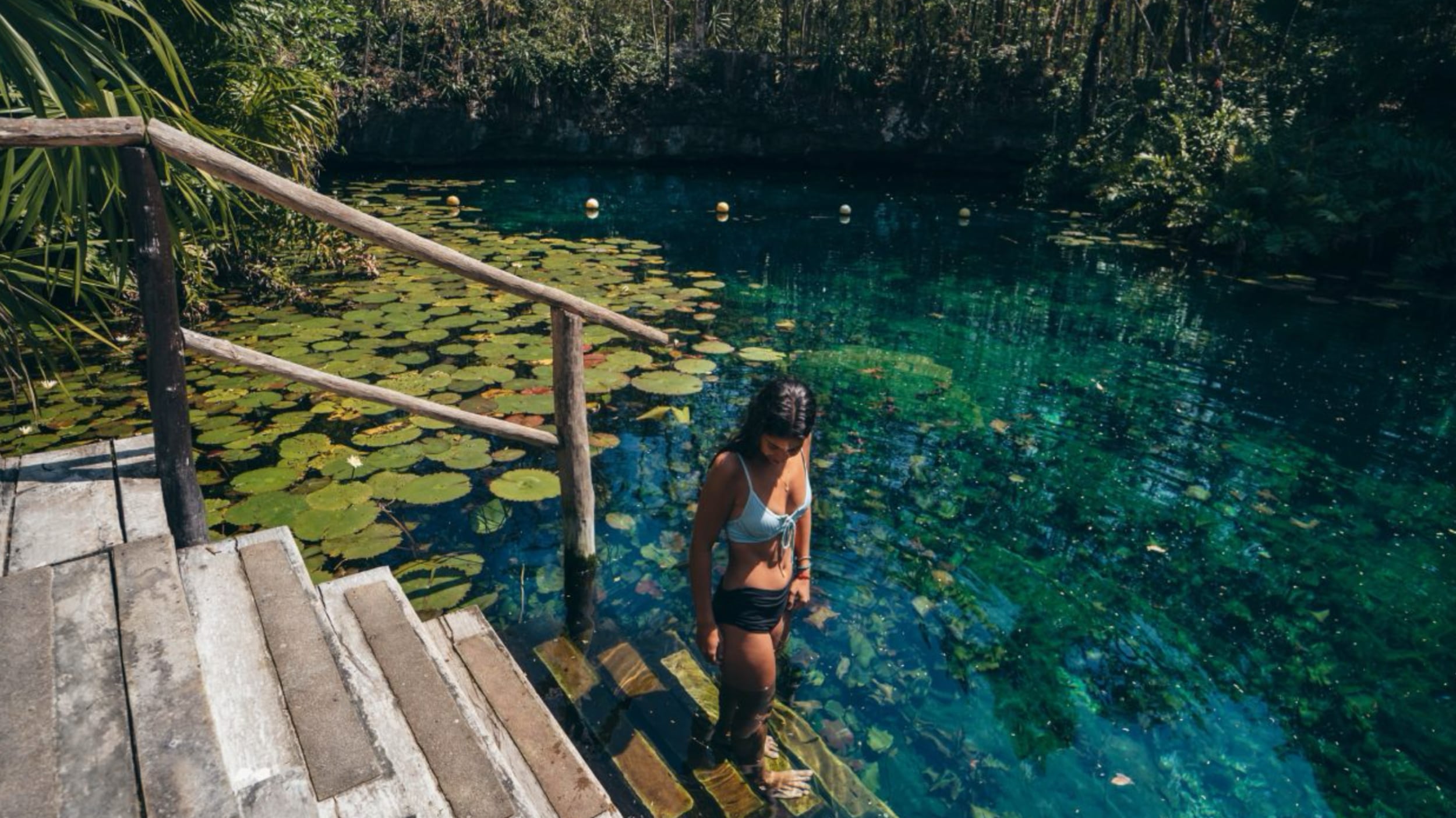 Escapadas de febrero: Vive la aventura de cenotes, ruinas y atardeceres en Mayan Monkey – El Financiero