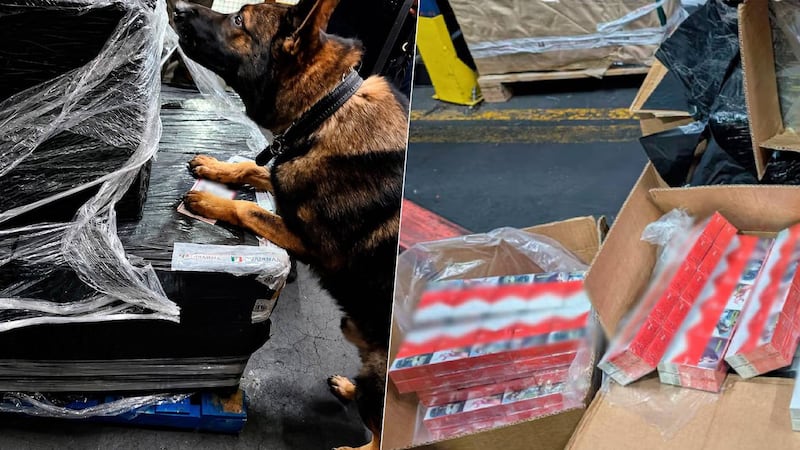 Decomisan 5 millones de cigarros ‘patito’ en el AICM; provenían de Sri Lanka y Singapur