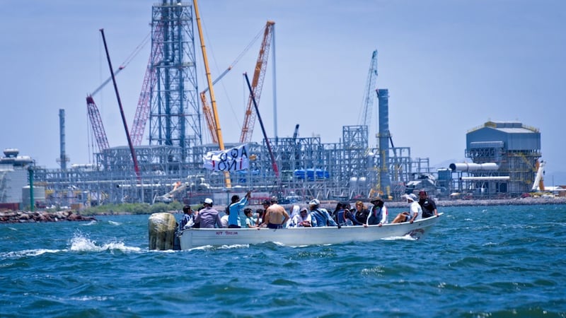 Greenpeace México exige frenar megaplanta de amoniaco en Sinaloa; alerta por daños al ambiente
