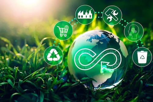 Adaptarse o desaparecer: la urgencia de la sostenibilidad