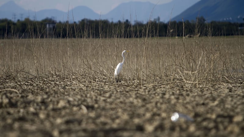 Crisis hídrica amenaza a sectores clave como el turismo y la construcción