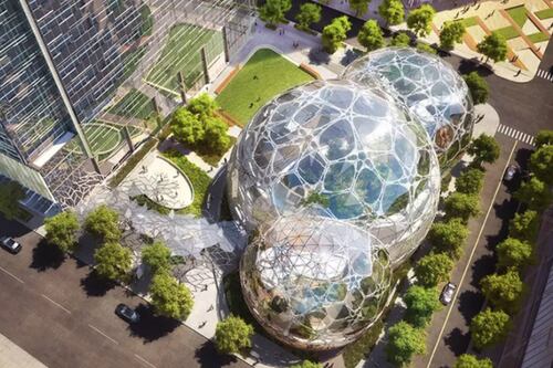 ¿Por qué Amazon puso 40 mil plantas en su nueva oficina? Esta es la razón