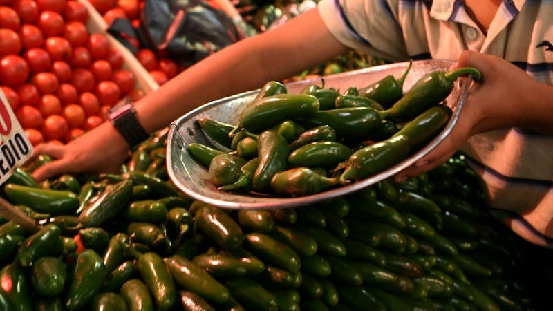 Aguas con tu chile en vinagre: EU alerta por brote de salmonela en jalapeños procedentes de México