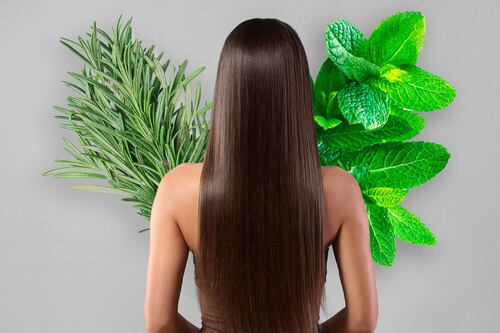 ¿Para qué sirve el romero con menta en el cabello?