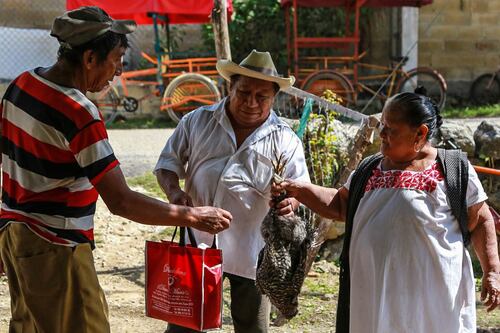 Mérida promoverá a través de instituto la lengua y tradiciones de cultura maya