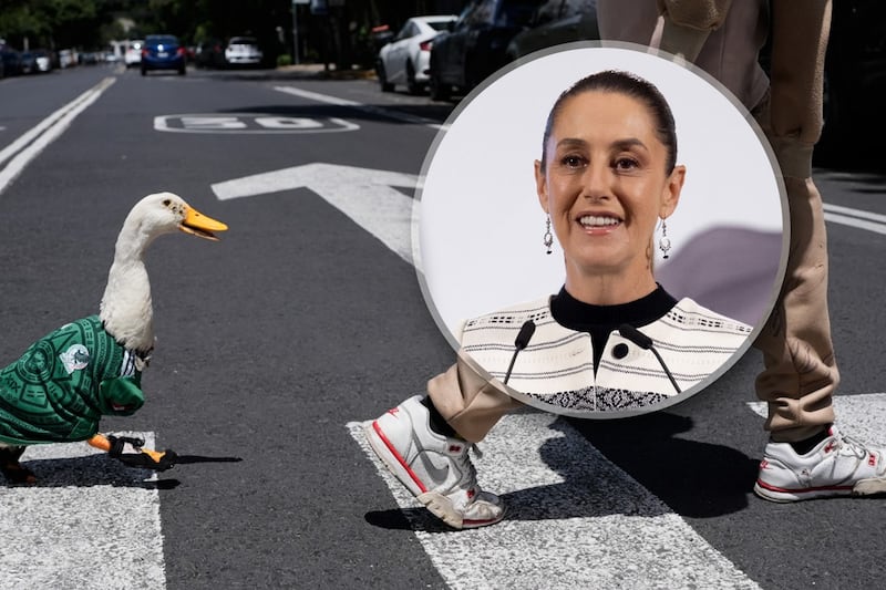 Sheinbaum invita al Pato Merlín a la ‘mañanera’: ‘Es un símbolo de nuestra cultura’
